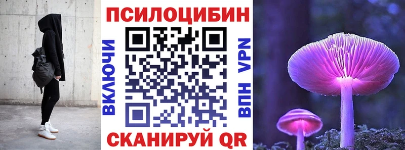 Галлюциногенные грибы Magic Shrooms  закладка  Каменск-Уральский 